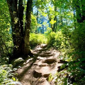 Meet your Posher, Corrina